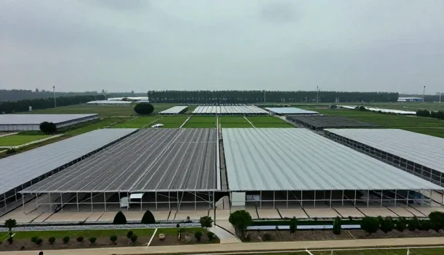 宣传片制作需明确适用场景与限制条件